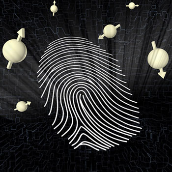 Graphical representation of a quantum fingerprint.