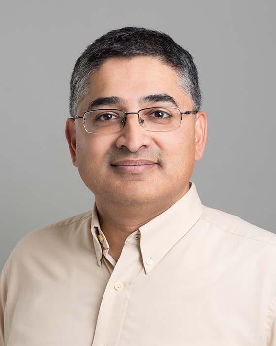 Professor Ravi Adve