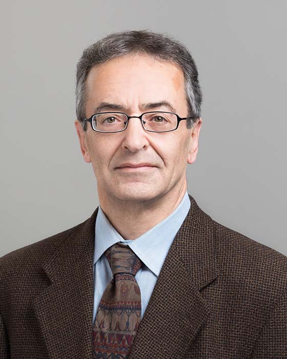 Photo of Reza Iravani