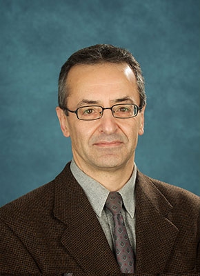 Professor Reza Iravani