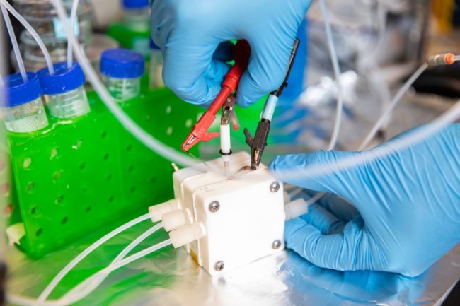 Researchers from U of T Engineering and Carnegie Mellon University are using electrolyzers like this one to convert waste CO2 into commercially valuable chemicals. Their latest catalyst, designed in part through the use of AI, is the most efficient in its class. (Photo: Daria Perevezentsev)