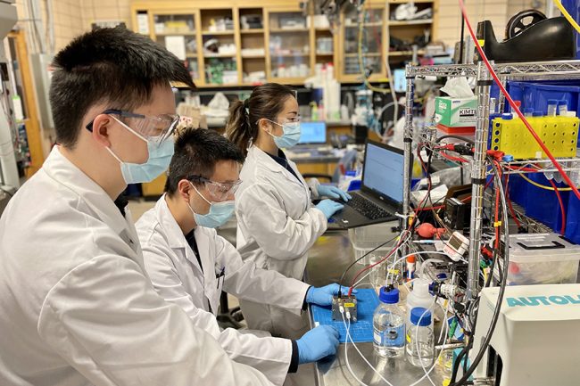 Left to right: Shijie Liu (MIE MASc candidate), Yi (Sheldon) Xu (MIE postdoctoral fellow) and Celine Xiao (MIE PhD candidate) work on an electrochemical cell in their lab. The students are members of Team E-quester, which has earned a $250,000 XPRIZE Carbon Removal Student Award. (Photo: Yong Zhao)