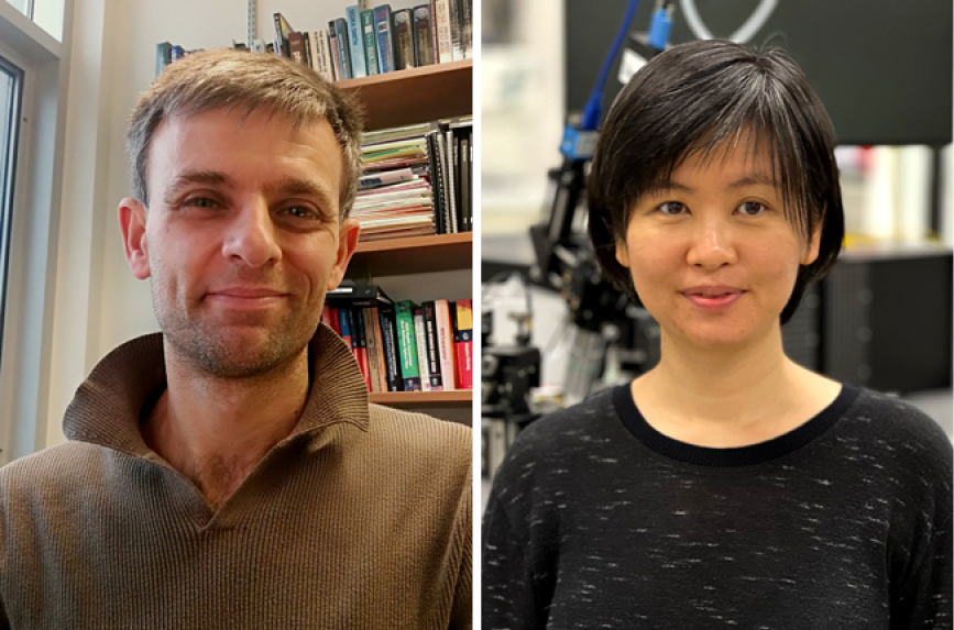 Professors Tony Chan Carusone and Joyce Poon have been named Fellows of the IEEE. (Photo: Chan Carusone; Poon by Katja Woldt)