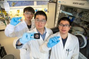 Three researchers in lab coats holding components of the cells between fingers