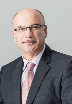 Professor Farid Najm.